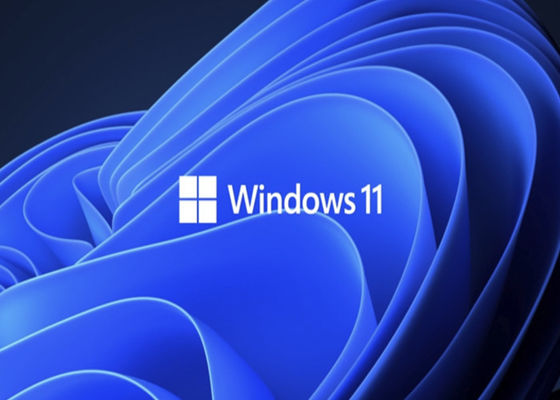WDDM 2.0 UEFI Microsoft Windows 11 Professional Win 11 Pro COA Sticker Key License