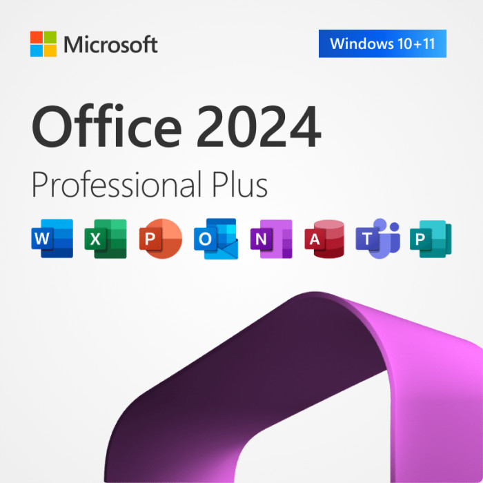 Microsoft Office 2024 Professional Plus Product Key สําหรับ PC หรือ Mac ใบอนุญาตตลอดชีวิต Office Suite