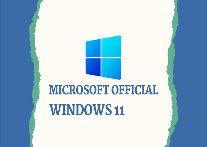 เวอร์ชันภาษาฝรั่งเศส TPM Microsoft Windows 11 Home Retail แบบเต็มกล่อง WIP UEFI